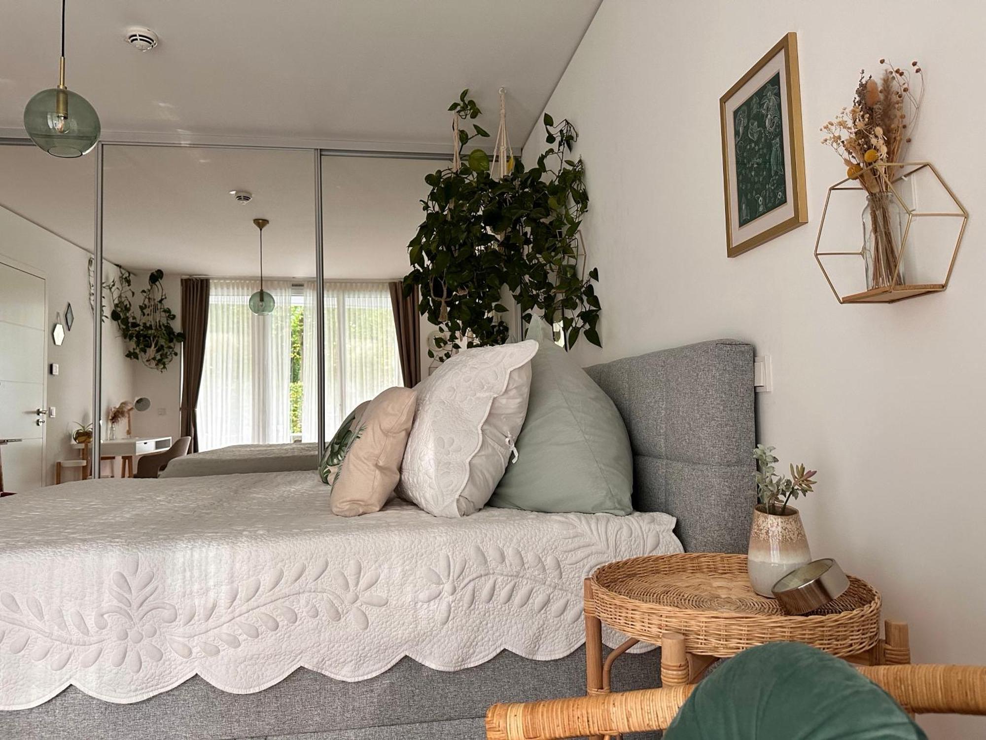Apartment Stadtwohnung Mit Garten Kassel