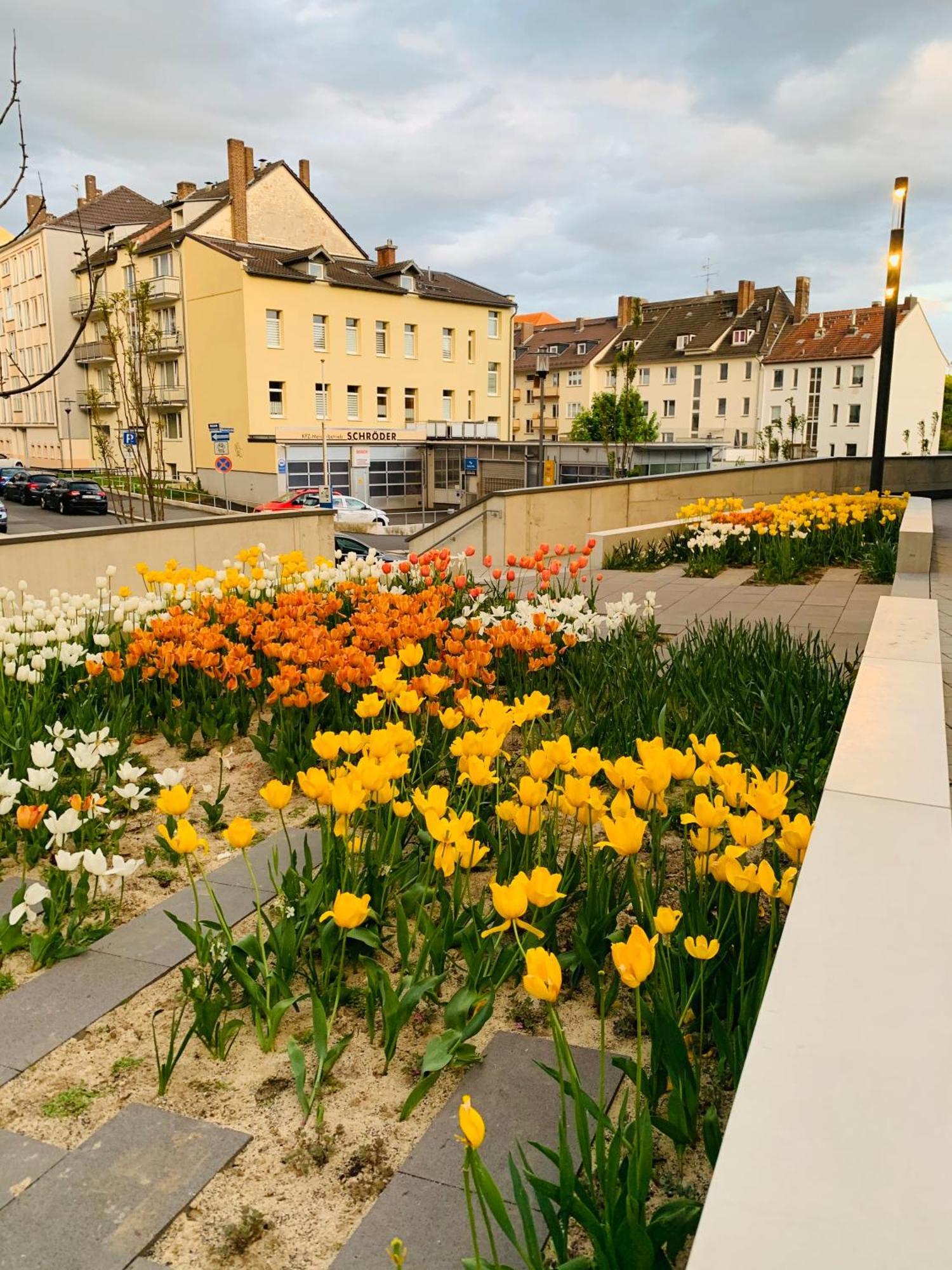 Stadtwohnung Mit Garten *