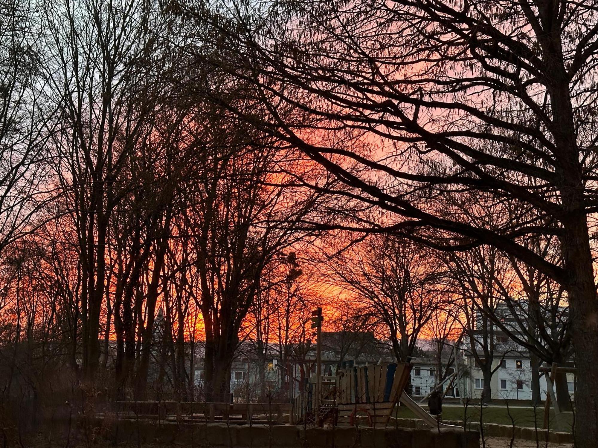 Stadtwohnung Mit Garten *